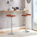 Adjustable Bar Stools Set of 2, Bar Height Stools for Kitchen Counter