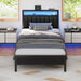 Twin Size Bed Frame with Charging Station and LED Lights
