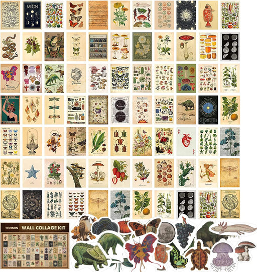 100 PCS Vintage Posters, Collage Kit Aesthetic Pictures, Cottagecore Room Decor for Bedroom, Cute Dorm Photo Wall Decor for Teen Girls, Botanical Wall Art…