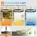 20 Inch Outdoor Ceiling Fan with Light for Patio, IP65 Waterproof Plug in Caged Hanging Fan, Remote Control, 3 CCT, 6 Speeds Reversible Outdoor Fan for Gazebo, Pergola, Porch