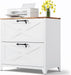 2 Drawer Lateral File Cabinet with Lock,Metal Filing Storage Cabinets for Home Office,Files Folders Letter/Legal/A4 Size(White)
