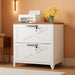 2 Drawer Lateral File Cabinet with Lock,Metal Filing Storage Cabinets for Home Office,Files Folders Letter/Legal/A4 Size(White)