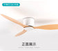 Modern Led Ceiling Fan without Lights DC Motor 6 Speeds Timing Fans 20CM Low Floor Loft Remote Control Lux&Vitae Fan with Lights