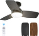 30 Inch Black Ceiling Fan EnergyEfficient RemoteControl