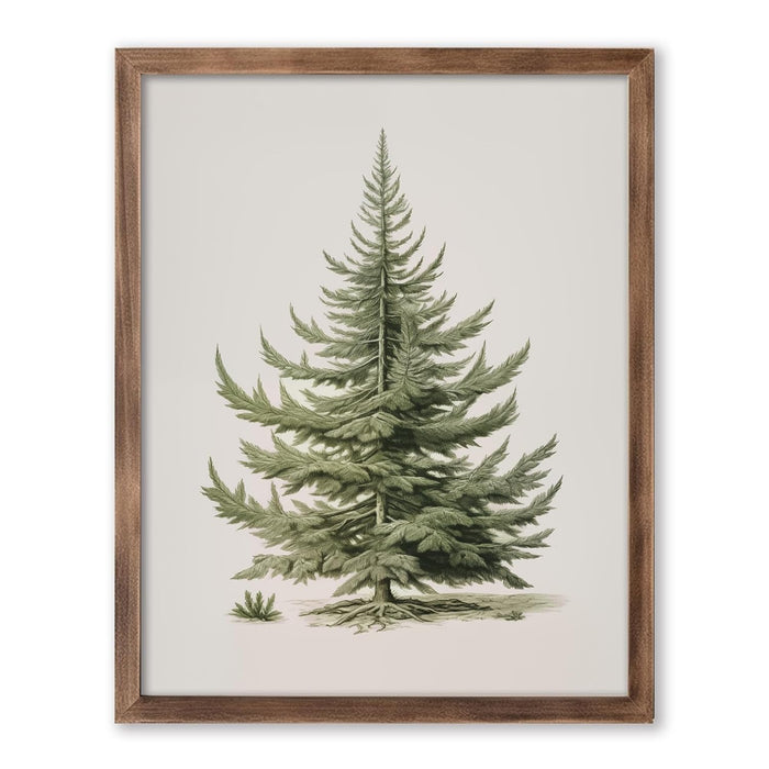 Christmas Tree Art Print, Vintage Fir Botanical Sketch, Christmas Tree Painting Print, Pine Tree Antique Print, Christmas Tree Wall Art