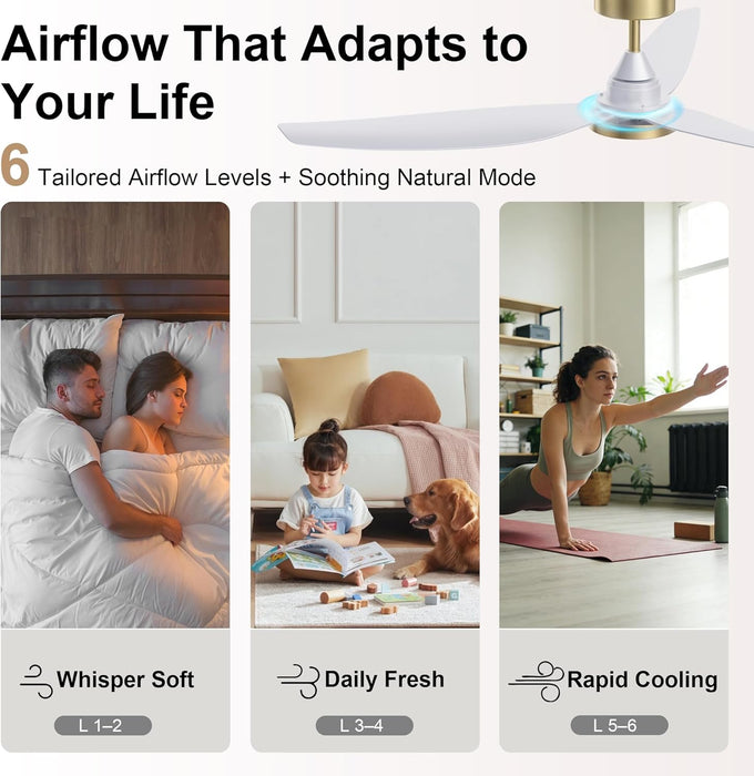 54" Ceiling Fan with Light & Remote Control, Quiet Reversible DC Motor, 6-Speed, 3CCT Dimmable LED, Indoor Ceiling Fans for Bedroom Living Room Dining, by GRANDJOY