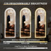 LED Arched Full Length Mirror with Lights 65"X24"