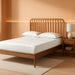 Neilan Modern and Contemporary Walnut Brown Finished Wood Queen Size Platform Bed