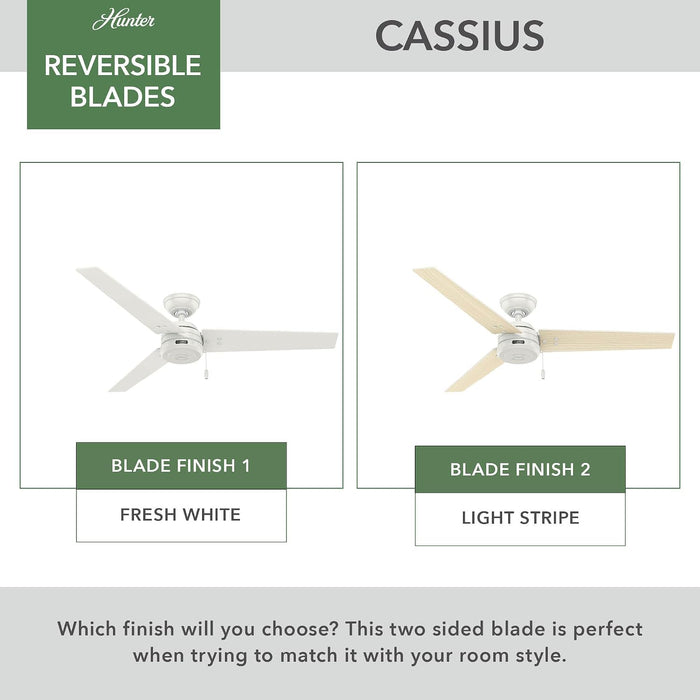 Cassius 52 Inch Contemporary Indoor Outdoor Ceiling Fan