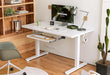 Standing Desk with Keyboard Tray, 48 X 24 Inch Adjustable Height Sit Stand Desk with Memory Presets for Home Office, Ergonomic Computer Workstation, White