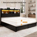 Queen Storage Bed Frame with 6 Drawers, USB Charging Station, No Noise, No Box Spring Required, Vintage Black Headboard Platform Bed
