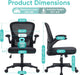 Office Chair, Ergonomic Desk Chair with Adjustable Lumbar Support and Flip up Armrest, Breathable Mesh Computer Chair for Home Office & Rolling Work Swivel Task Chairs