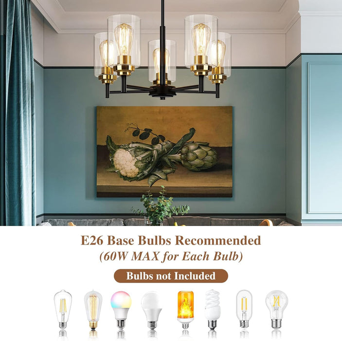 19.8'' 5-Light Chandelier for Dining Room Kitchen Island, Modern Farmhouse Pendant Lighting with Glass Shades Industrial Black Hanging Ceiling Light Fixture for Living Room, Height Adjustable