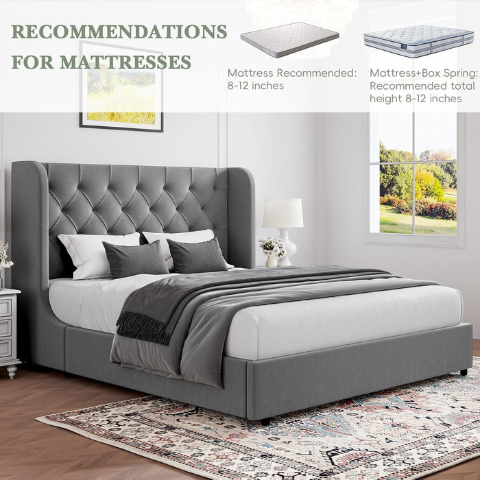 Grey King Bed Frame, Velvet Upholstered Platform Bed Frame with Headboard, Curved Wingback Design, Wooden Slats, No Box Spring, Noise Free, Easy Assembly