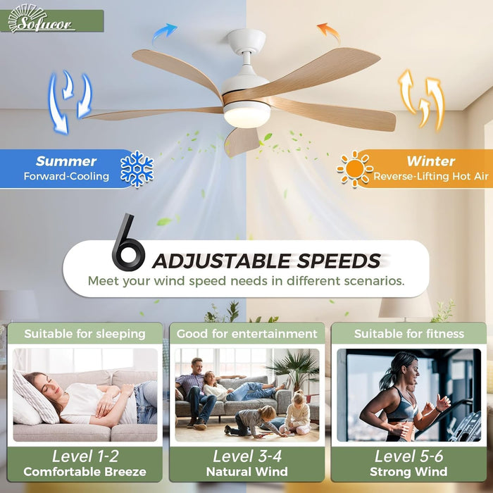 52 Inch Ceiling Fans with Lights and Remote, Outdoor Ceiling Fan with Light 6-Speed 3 CCT 3-Timer, Modern Low Profile Ceiling Fan 5 Blade Reversible DC Motor for Living Room Bedroom Patio
