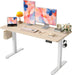 Electric Height Adjustable Standing Desk for Home Office - ShipItFurniture