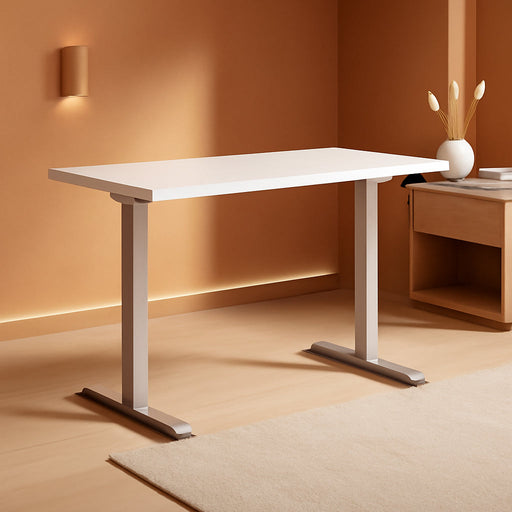 Electric Height Adjustable Standing Desk with Modern Design - ShipItFurniture