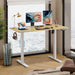 Electric Height Adjustable Standing Desk with Phone Holder - ShipItFurniture