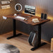 Electric Standing Desk Dual Motors Height Adjustable Curved Design - ShipItFurniture
