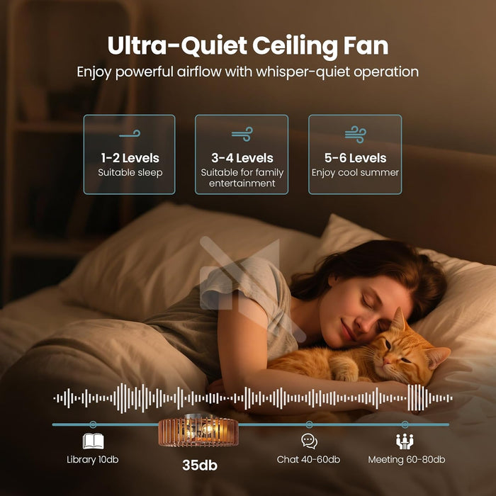 20'' Caged Low Profile Fandelier Ceiling Fan with Light and Remote Walnut