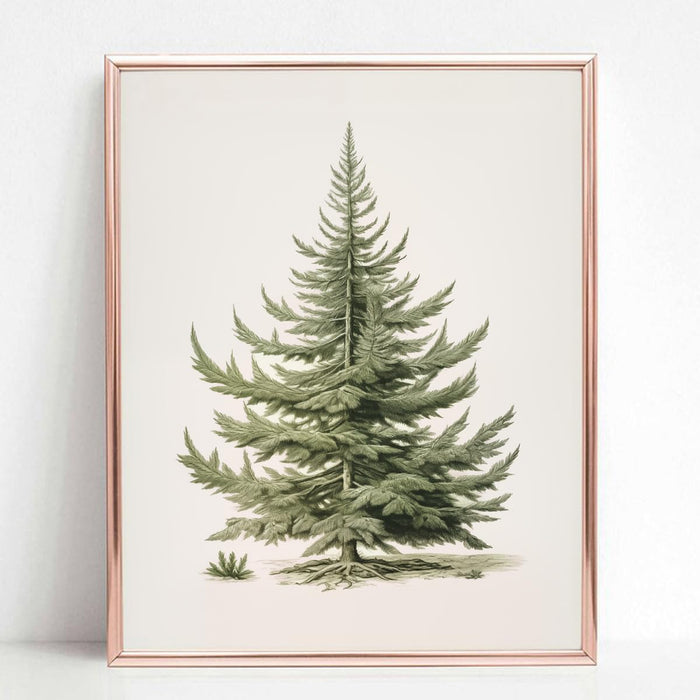 Christmas Tree Art Print, Vintage Fir Botanical Sketch, Christmas Tree Painting Print, Pine Tree Antique Print, Christmas Tree Wall Art