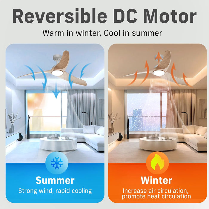 Contemporary 42 Inch Brushless Ceiling Fan Control