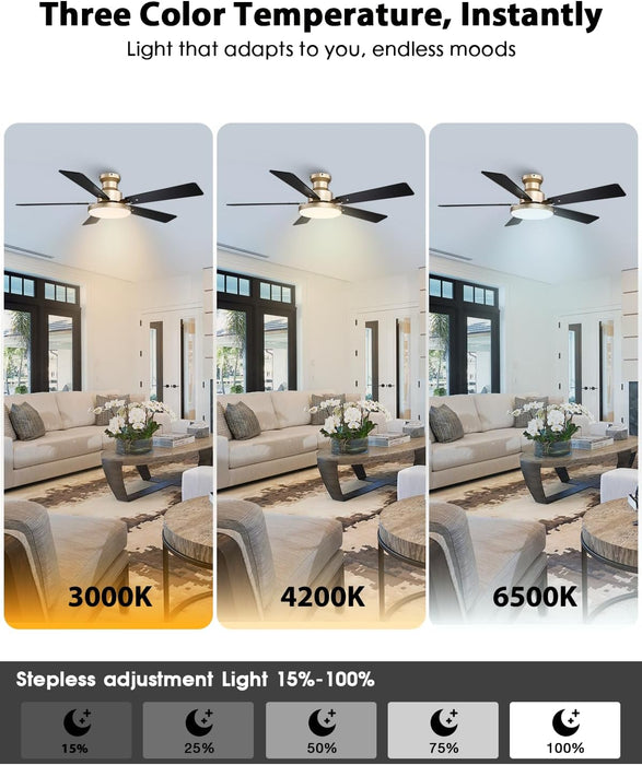 52 Inch Low Profile Gold Ceiling Fan with Lights, Modern Black and Gold Ceiling Fans with Remote/App for Indoor Bedroom, Flush Mount, 12.2'' Large 3CCT LED Light Panel, 6-Speed Quiet DC Motor