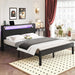 Full Size Bed Frame with LED Lights and Charging Station, Black