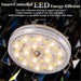 24in Crystal Chandelier Flush Mount Remote Control
