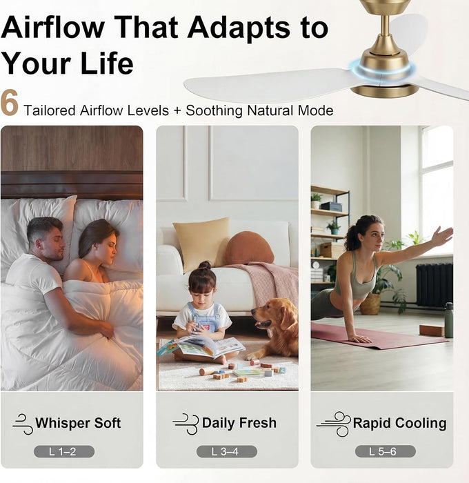FortyTwoInches Contemporary Ceiling Fan With Dimmable LED