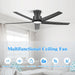 52 Inch Ceiling Fans with Lights, Large Air Volume Ceiling Fans with Reversible Quiet DC Motor and Remote 2 Pack（Black）