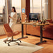 Standing Desk 55 × 24 Inch Electric Height Adjustable, Rustic Brown