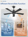 42 Inch Ceiling Fan No Light, Black Ceiling Fan without Lights, Quiet Reversible DC Motor, 6-Speeds, Small Ceiling Fan with Remote for Bedroom, Living Room, Patio, Indoor/Outdoor Use