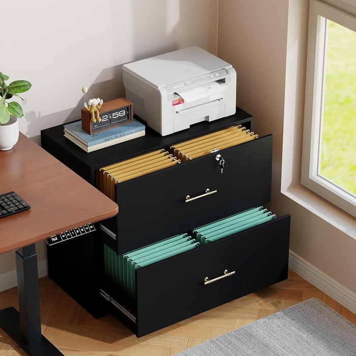 2 Drawer Lateral File Cabinet with Lock, Suitable for Letter/A4/F4/Legal Size Hanging Files,Large Wood Filing Storage Cabinets Printer Stand for Home Office,Black