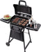 American Gourmet by  Classic Series Convective 2-Burner Propane Stainless Steel Gas Grill - 463672717