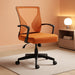 Office Chair Mid Back Swivel Lumbar Support Desk Chair, Computer Ergonomic Mesh Chair with Armrest (Orange)