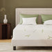 EGOHOME 8 Inch Twin Mattress Medium Plush, Green Tea Memory Foam Mattress