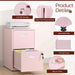 2 Drawer File Cabinet with Lock,Pink Metal Filing Cabinets,Vertical Locking File Cabinet Fit Hanging Files, Letter,File Box and A4 Documents(Pink)