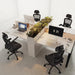 Ergonomic Office Chair for Lower Back Relief, 4-Way Lumbar, 330 LBS