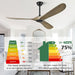Expert Design 52 Inch Indoor Outdoor Ceiling Fan