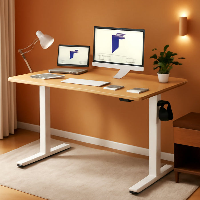 Height Adjustable Electric Sit Stand Desk for Home - ShipItFurniture
