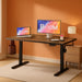Height Adjustable Electric Standing Desk for Home Office - ShipItFurniture