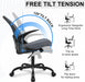 Adjustable Ergonomic Office Chair with Lumbar Support