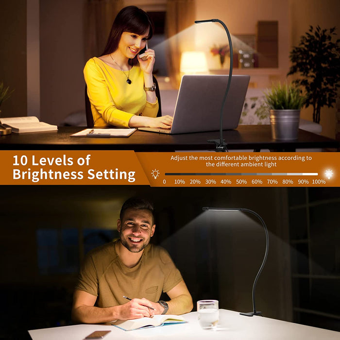 Flexible Clamp LED Desk Lamp with 3 Color Modes