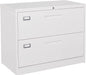 Lockable 2-Drawer Vertical Filing Cabinet for Home/Office