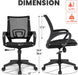 Ergonomic Swivel Chair with Lumbar Support