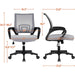 Ergonomic Mesh Office Chair with Lumbar Support