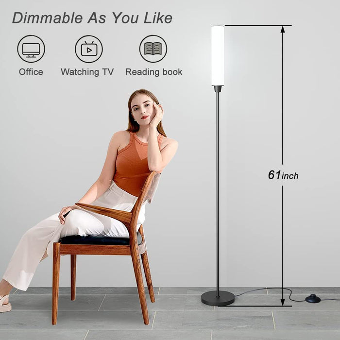 Floor Lamp with Remote Control, Stepless Adjustable