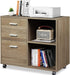 Gray Oak File Cabinet with Printer Stand
