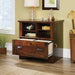 Curado Cherry Lateral File by Sauder Harbor View